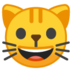Grinning Cat Face