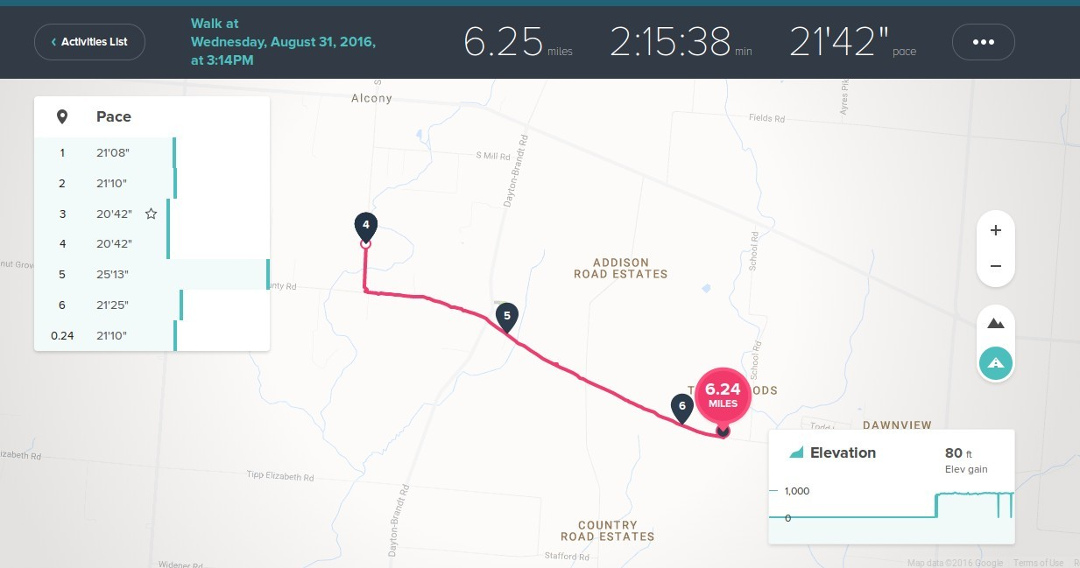 do fitbits track distance