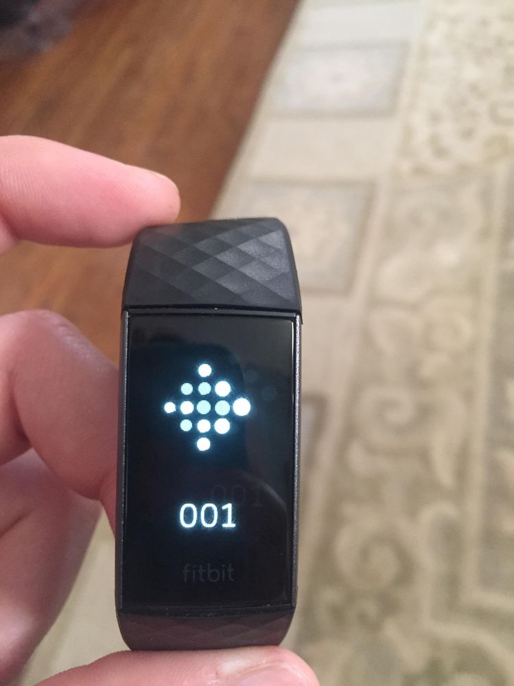 Fitbit charge 3 blank screen
